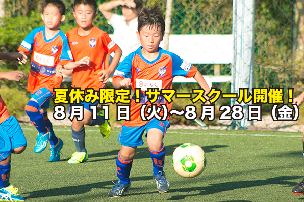 SummerSchool2015